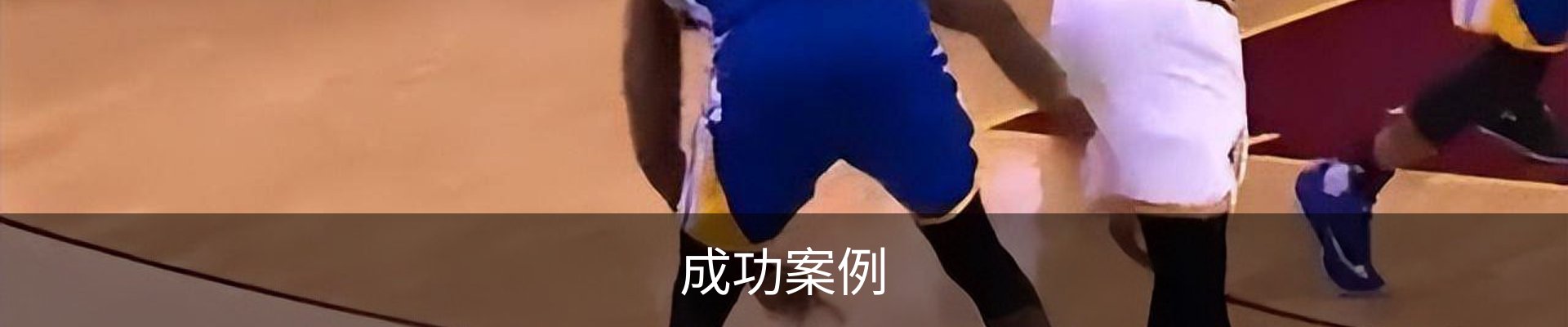 成功案例